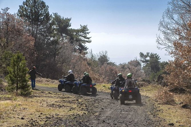 1 1/2 - 2 Hours Guided Excursion of Etna by Quad - The Lava Flow Cave Stop and Why It Matters