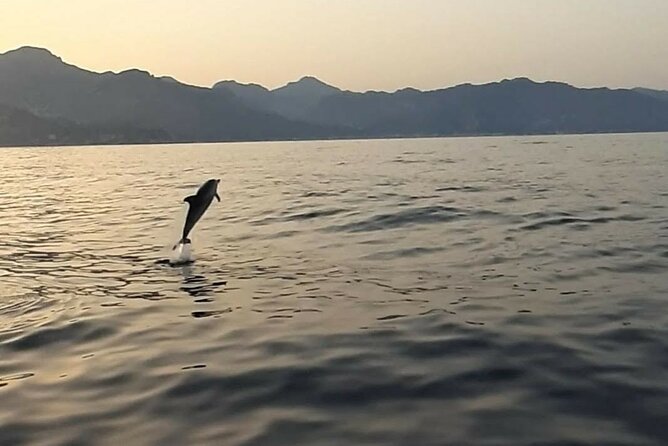 2.5 Hours Sunset Boat Tour in Search of Dolphins - Giardini Naxos Departure: Simple Meeting, Real Time at Sea