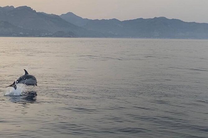 2.5 Hours Sunset Boat Tour in Search of Dolphins - What to Expect On Board: Crew Energy, Music, and Comfort
