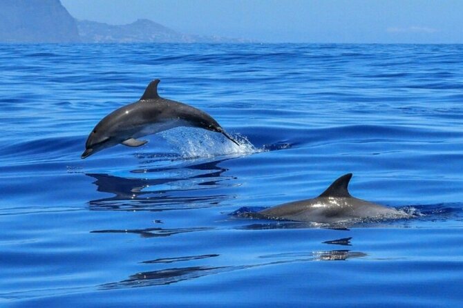2.5 Hours Sunset Boat Tour in Search of Dolphins - Isola Bella Coast Cruise: Caves, Commentary, and Sea Views