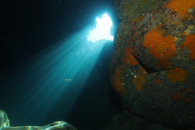 2 Dives from Diving Center (with full equipment) - A half-day underwater plan in Catania, with gear handled
