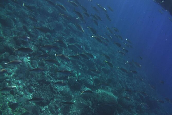 2 Hours Private Boat Tour Isola Bella Taormina Giardini Naxos - Isola Bella nature reserve: seeing the coast’s protected side