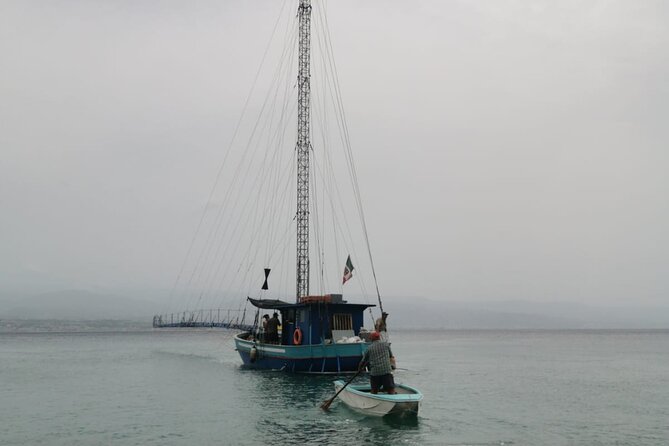 3 Hour Boat Tour in Messina - Getting to the Port of Messina (and keeping it simple)