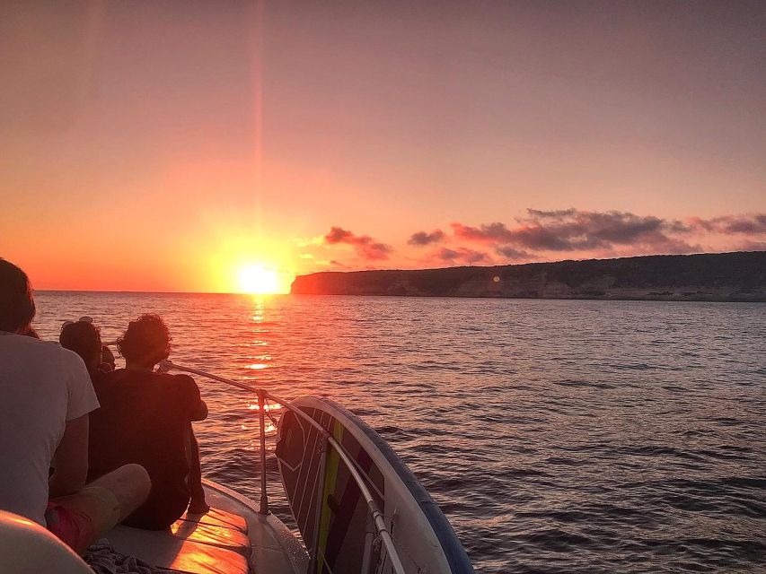3-hour boat trip at sunset with the sighting Delfini - Dolphin search at sea: what it feels like in practice