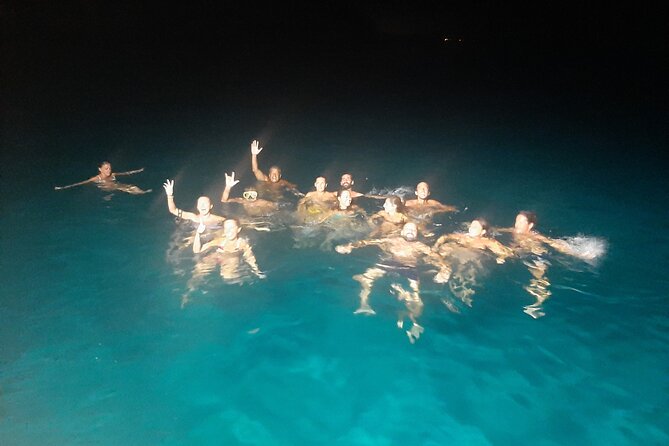 3-Hour Dolphin watching at sunset with aperitif - The 5:30 pm Plan: Golden Hour Dolphin Watching