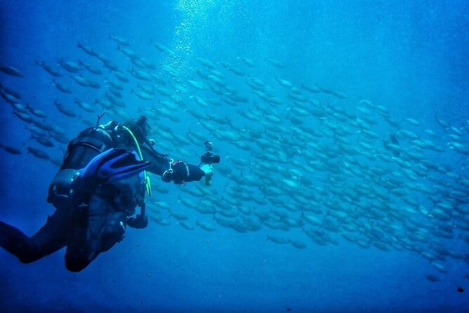 3-Hour Try Scuba Private Guided Sea Baptism from Palermo - Gear Basics and the Digital Manual That Actually Helps