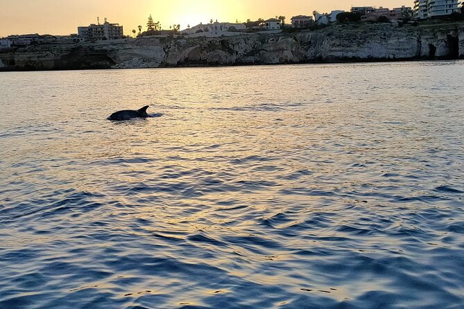 3 Hours Private Boat Tour of the Island of Ortigia with Aperitif - Private group comfort: what up to 12 people really changes