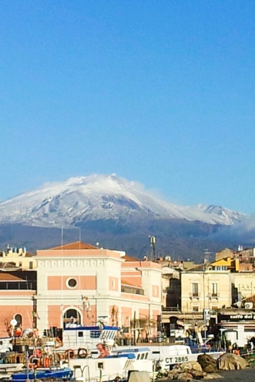 6-Hour Mount Etna Excursion - Six hours on Etna: a smart, focused volcano day