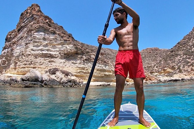 7 hours Boat trip to Lampedusa lunch, SUP and Snorkeling - Wildlife moments: dolphins and turtles, and how to think about luck