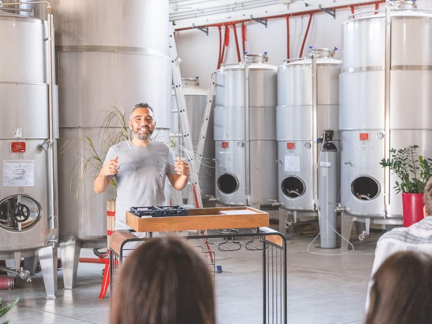 A morning with the Winemaker - Taste Four Wines, Including One Straight from the Barrel