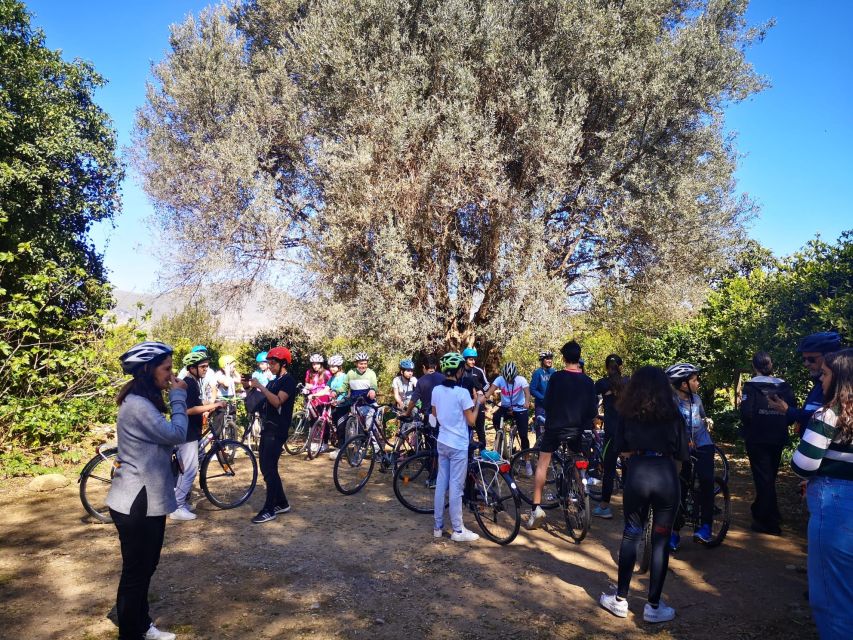 a PRIVATE ride of Favorita Park and Mondello - Parco della Favorita: Palermo’s green lung and why it matters