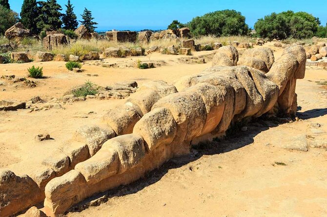 Agrigento and Valley of the Temples Day Trip from Palermo - The archaeology museum time (self-guided, and worth using)