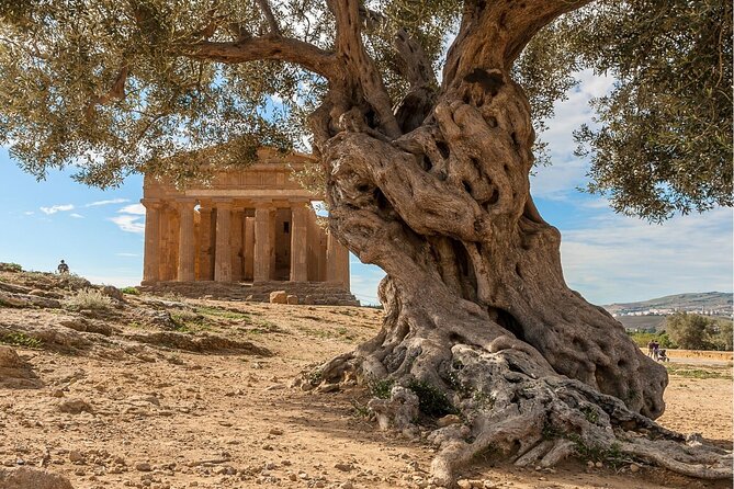 Agrigento to Siracusa with Valley of Temples and Roman Villa Trip - Villa Romana del Casale: self-guided rooms plus the €12 admission detail