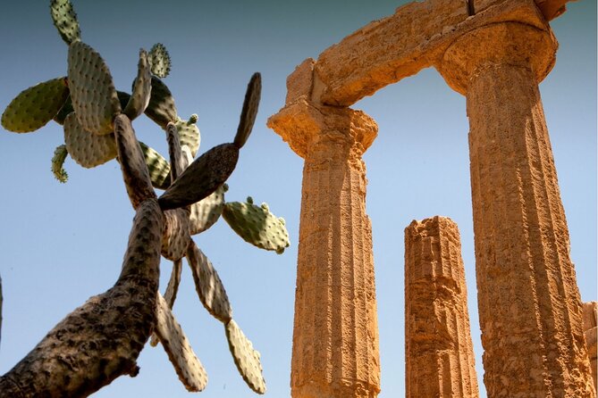 Agrigento to Siracusa with Valley of Temples and Roman Villa Trip - Pace, walking, and who this tour fits best
