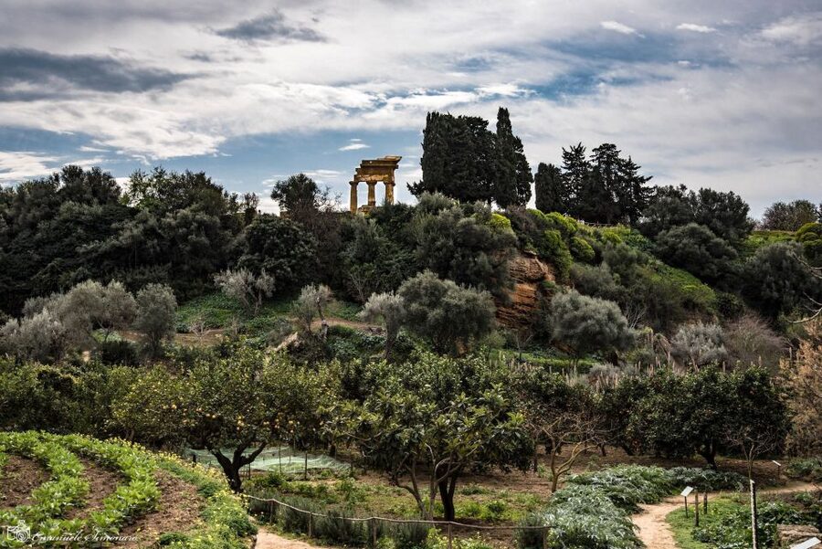 Agrigento Valley of the Temples and Kolymbethra Private Tour - Meet at Tempio di Giunone, then step into the site
