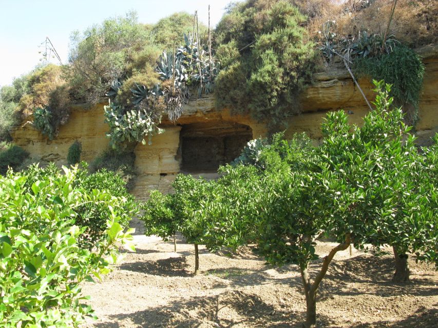 Agrigento Valley of the Temples and Kolymbethra Private Tour - Private tour format: what you gain in 3 hours