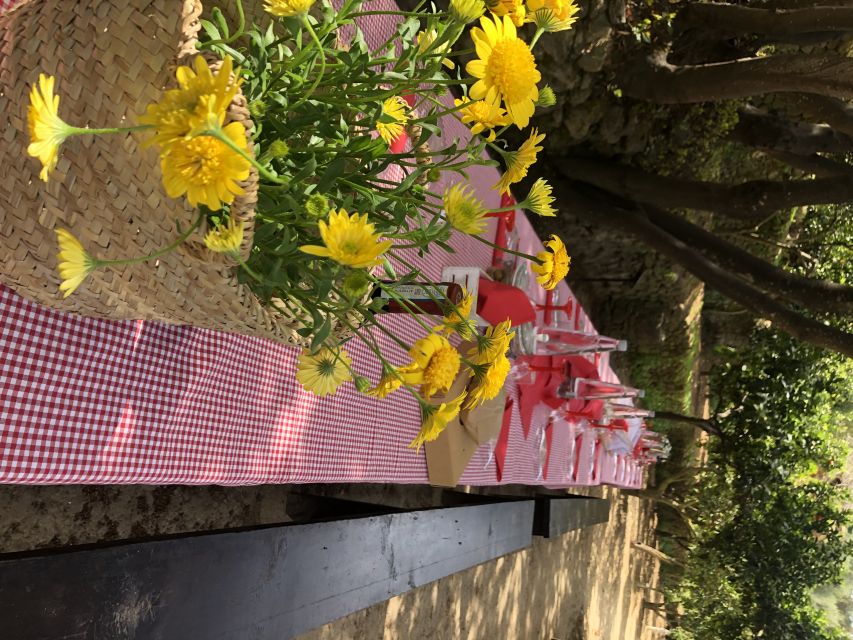 Agrigento: Valley of the Temples Gardens Picnic Experience - Should you book the Agrigento Kolymbethra Gardens picnic?
