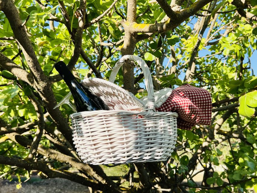 Agrigento: Valley of the Temples Gardens Picnic Experience - Why Kolymbethra Gardens Picnic Feels Different in Agrigento