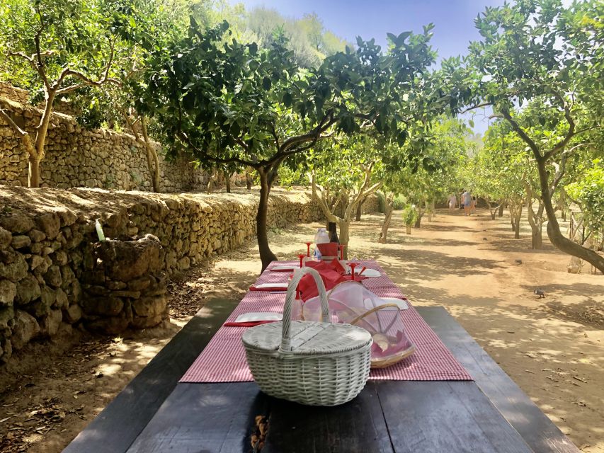 Agrigento: Valley of the Temples Gardens Picnic Experience - The picnic basket: what you actually eat
