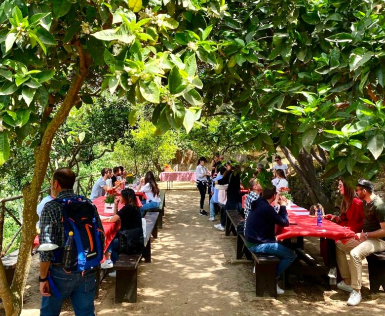 Agrigento: Valley of the Temples Gardens Picnic Experience - Who this picnic is for, and who should skip it