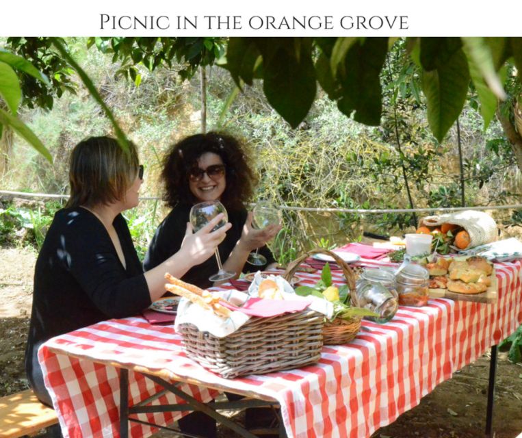 Agrigento: Valley of the Temples Gardens Picnic Experience - Practical tips to make your picnic day easier