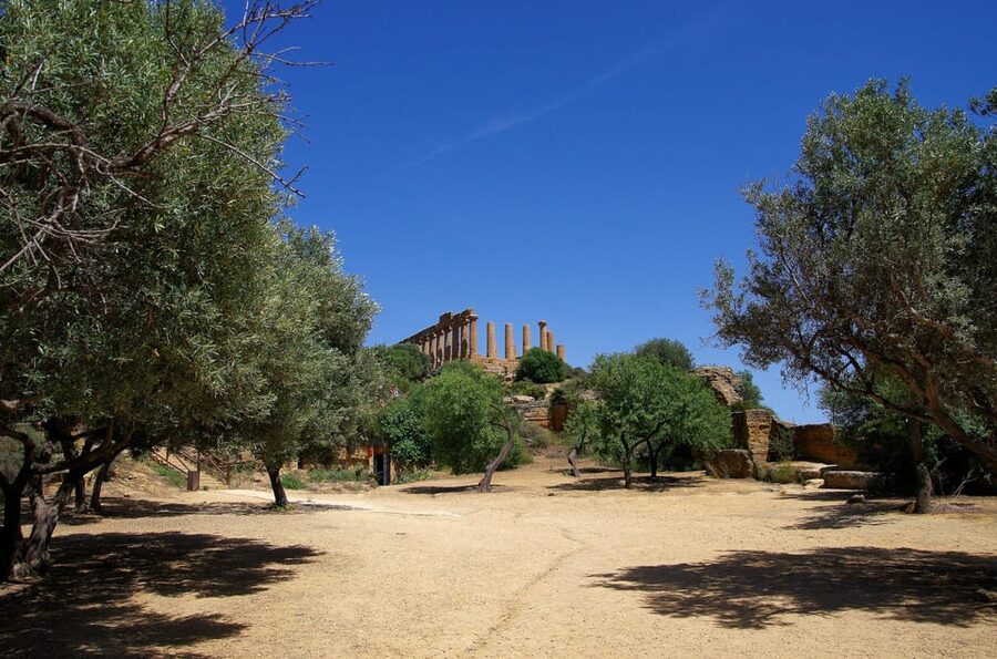 Agrigento: Valley of the Temples Private Archeological Tour - Temple of Concordia: the Doric lesson you can see