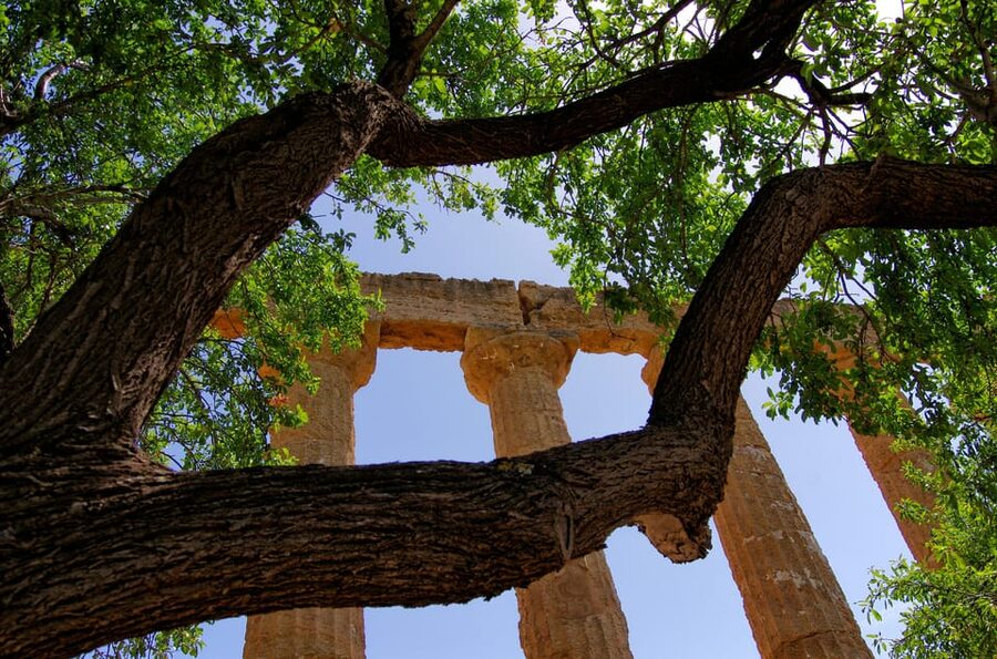 Agrigento: Valley of the Temples Private Archeological Tour - The guide really drives the experience