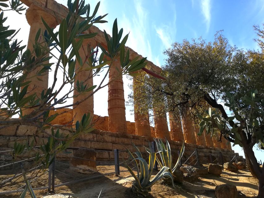 Agrigento: Valley of the Temples Private Tour - The meeting point at the Valley of the Temples, outside the ticket office