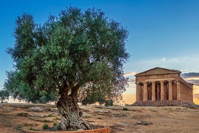 Agrigento; Valley of the Temples, Scala dei Turchi from Palermo, Private Tour - Value for money: what you are really paying for at $380.14 per person