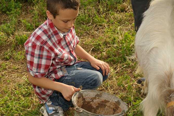 Alcamo Farm Animals and Aromatic Garden - Wine, Olive Oil, Honey, Bread: What the Sicilian Tasting Teaches You