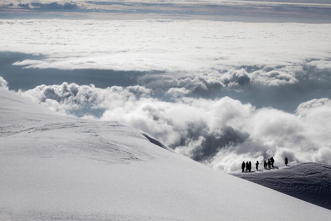 Amazing Etna Morning Tour with Pickup and Drop-Off from Catania - Cable car and summit craters: what you will not do