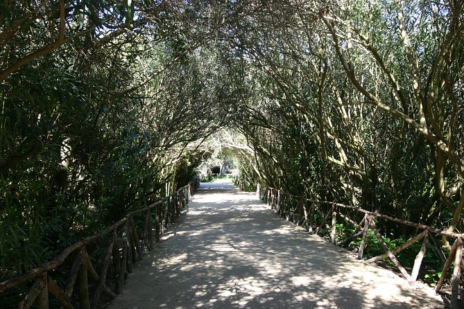 Ancient Syracuse: private guided tour of the Neapolis archaeological park - What a private guide actually changes