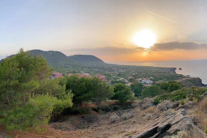 Archaeological excursion to the Rocca della Falconiera in Ustica - Key highlights you should care about
