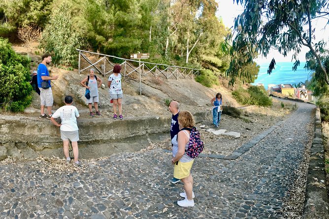 Archaeological excursion to the Rocca della Falconiera in Ustica - Who this tour suits best (and who might want a different one)