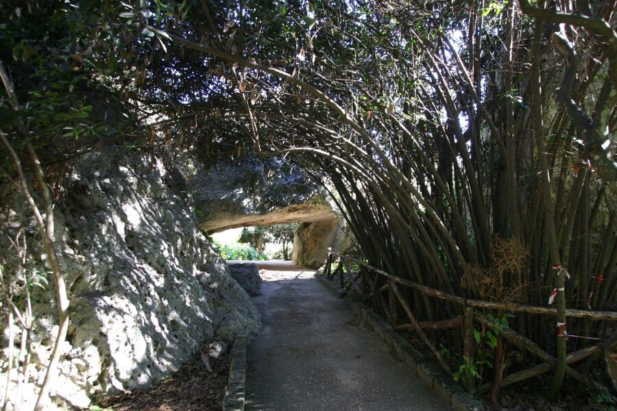 Archaeological Syracuse: Neapolis Park private tour - Starting point at Largo Anfiteatro, 2, and meeting your guide
