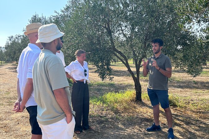 Balestrate Olive Grove Tour: Wine and Olive Oil Tasting - First stop: Marina di Balestrate, then into the olive grove with Francesco
