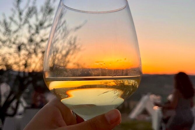 Balestrate Olive Grove Tour: Wine and Olive Oil Tasting - Logistics that can make or break your day
