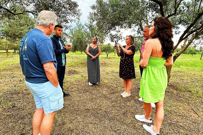 Balestrate Olive Grove Tour: Wine and Olive Oil Tasting - Who this tour is best for, and who should skip it