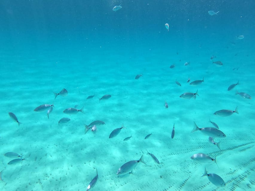 barca liliana ( caligola1) - Swimming and Snorkeling Practicalities (Including What’s Not Provided)