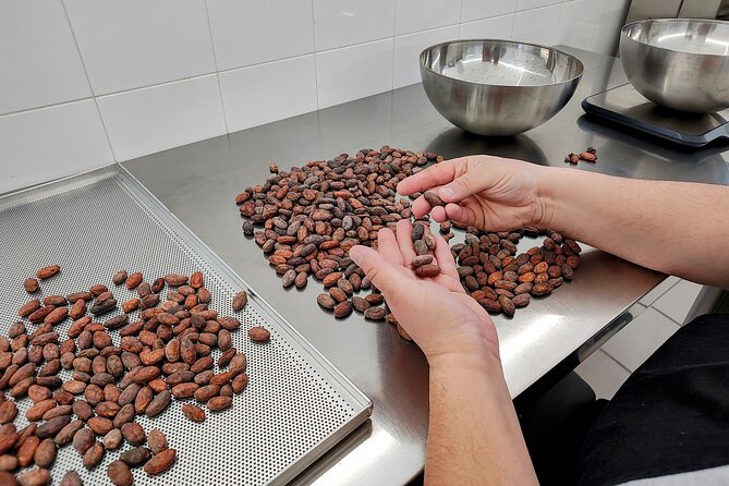 Become a chocolatier for a day, in Modica raw chocolate - The Step-by-Step Raw Chocolate Process You’ll Actually Do