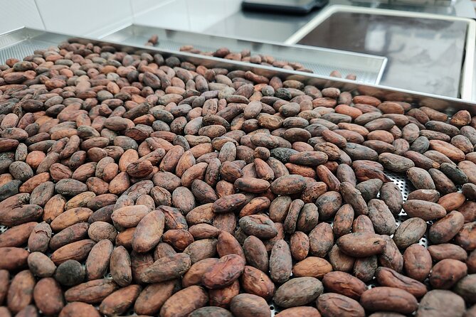 Become a chocolatier for a day, in Modica raw chocolate - Where the Experience Happens: i Sapori degli Iblei in Modica