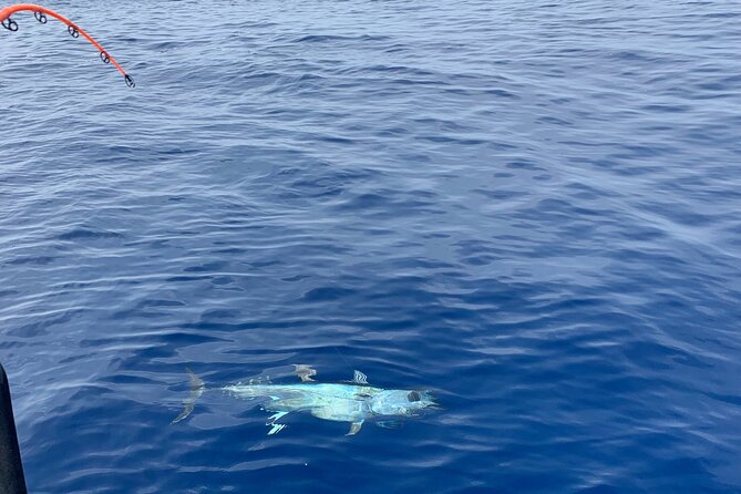 Bluefin Tuna Fishing Charter in the Egadi Islands - From Trapani to the Fishing Zones: The 8-Hour Rhythm