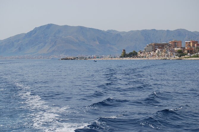 Boat excursion in Palermo - Logistics that can make or break your day at sea