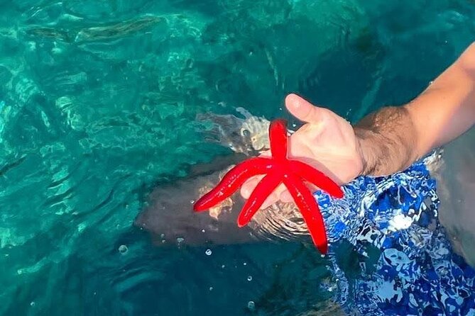 Boat tour Giardini Naxos Taormina Isola Bella Blue Grotto - Price and value: why $48.37 feels fair for what you get