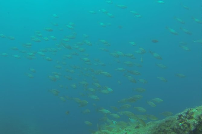 Bubble maker (scuba diving for children) - Where It Happens, and What the Timing Feels Like