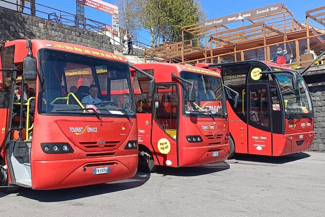Bus Etna Experience of Italy - Value for Money: The $56.59 Price and What You’re Actually Buying