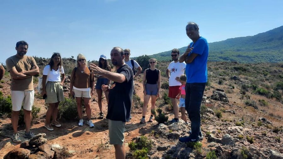 calice in cratere - Why an active crater on Pantelleria changes a wine tasting