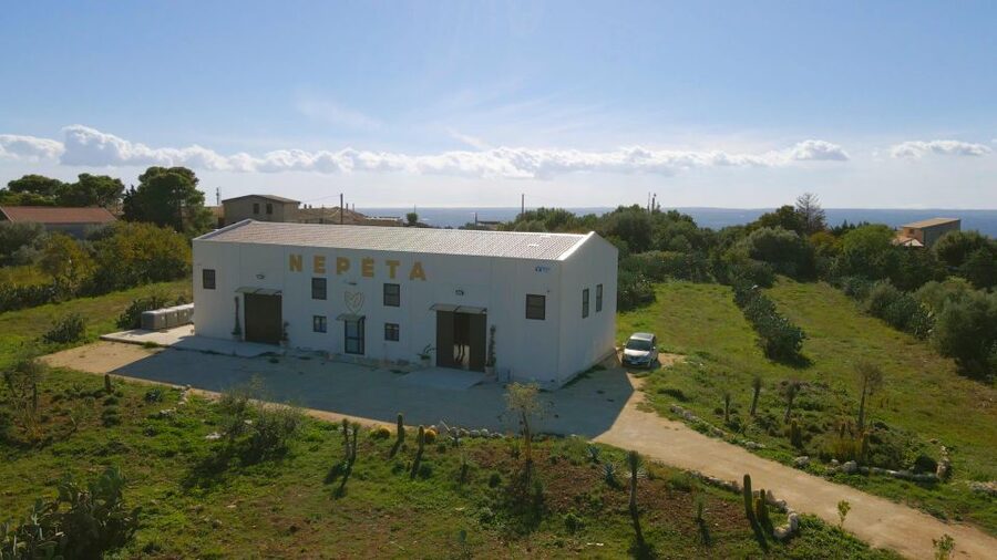 CASA NEPETA: Botanical Walk, Amari Production, and Tasting - Botanical walk near Testa dellAcqua: where the flavors begin
