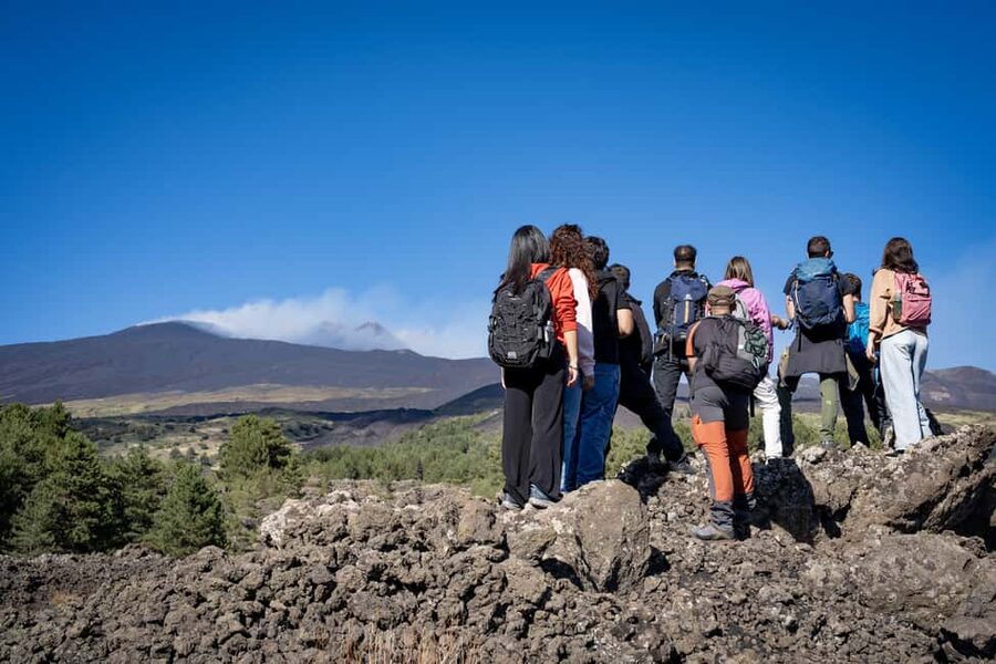 Catania: Amazing Etna Morning Tour with Pickup and Drop-Off - Vulcano Etna near 1800m: craters, views, and that surreal feeling