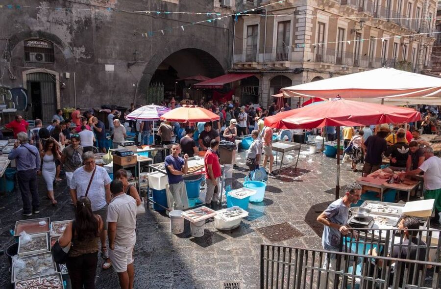 Catania: City Highlights Tour with Guide - Lava stone in plain sight: why Catania looks the way it does